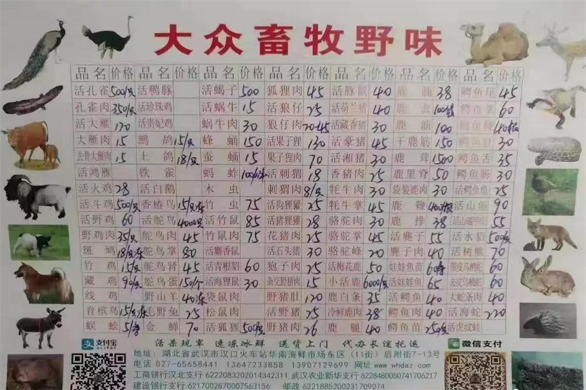 团课伊始